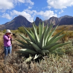 BigBend National Park