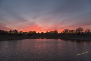 Pond Sunset MAR 30 2019 Camera3-30-19{sort}{seq}0004